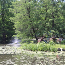IMG_1108 IMG_1108