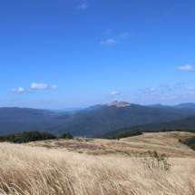 IMG_1426 IMG_1426