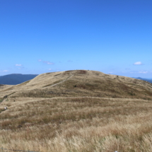 IMG_1431 IMG_1431