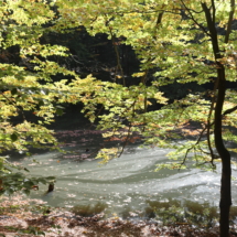 IMG_1537 IMG_1537