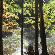 IMG_1540 IMG_1540